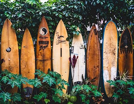 Several surfboards are lined up vertically against a leafy backdrop, with various plants at their base.