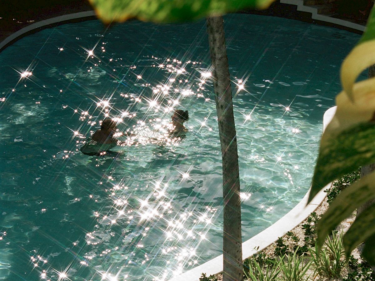A sunny pool scene with a curved white edge, a palm tree, and glistening water reflections.