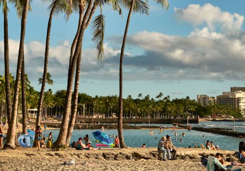 A beach scene with tall palm trees, people relaxing on the sand, and buildings in the distance under a partly cloudy sky.