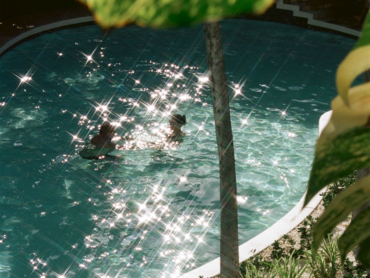 A tropical pool scene with a curvy white border, sparkling water, a swimmer in the pool, and lush leaves framing the view.