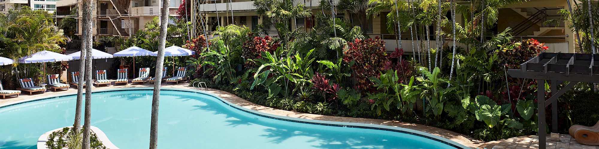 A tropical pool area with palm trees, lounge chairs, and surrounding high-rise buildings, set against a clear blue sky backdrop.