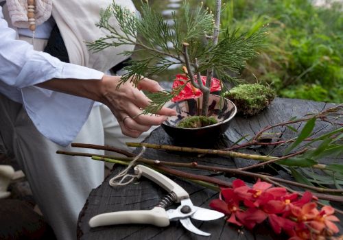A person arranges a small plant in a pot on a tree stump, surrounded by flowers, branches, and pruning shears.