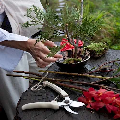 A person arranges a small plant in a pot on a tree stump, surrounded by flowers, branches, and pruning shears.