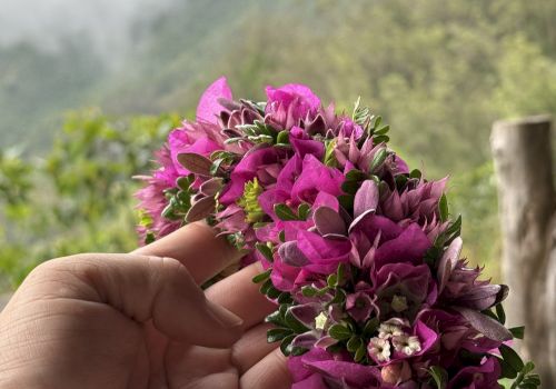 A hand holds a vibrant floral lei with pink and green flowers, set against a misty mountainous background.