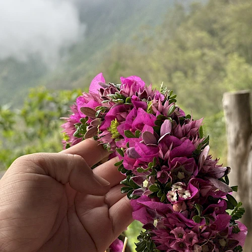 A hand holds a vibrant floral lei with pink and green flowers, set against a misty mountainous background.