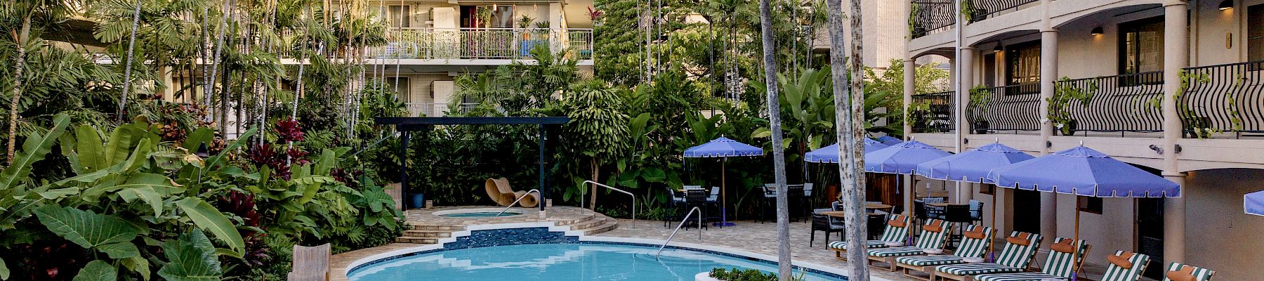 The image shows a curved outdoor pool surrounded by lounge chairs with umbrellas, tropical plants, and nearby buildings.