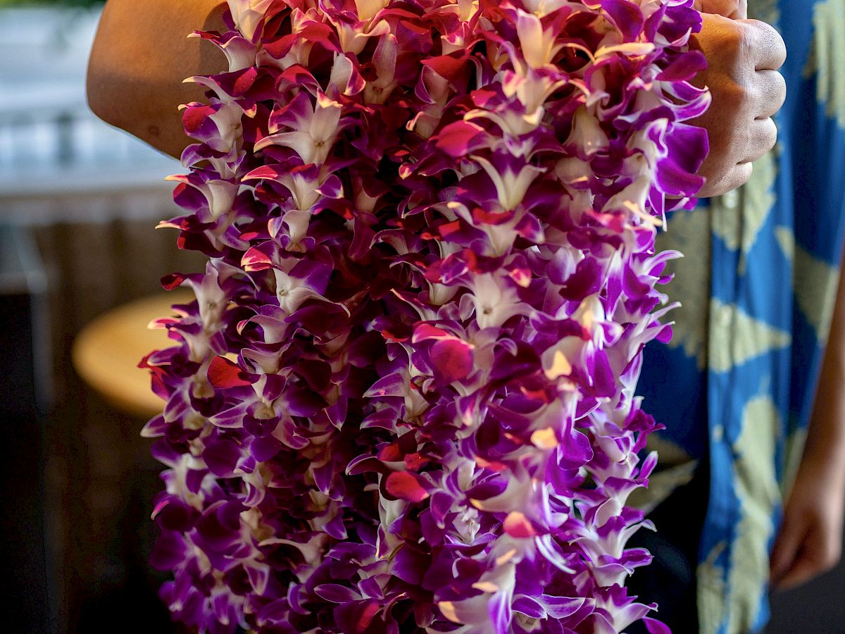 A person holds a vibrant purple and white orchid lei, with bright flowers draped in a loop, in front of a tropical-outdoor backdrop.