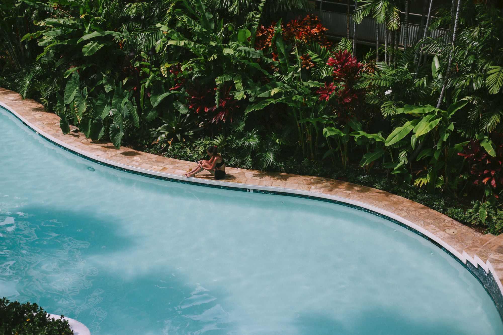 A curved swimming pool edge with clear blue water, surrounded by lush greenery and red flowers along a paved border.
