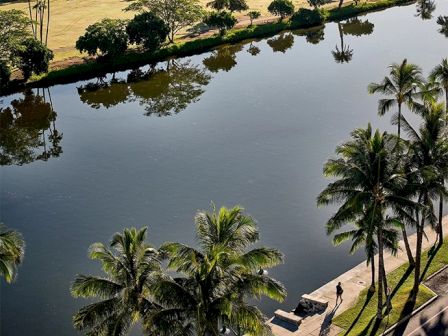 The image shows a serene riverside path lined with palm trees, with a person walking along it. Trees are reflected on the water's surface.