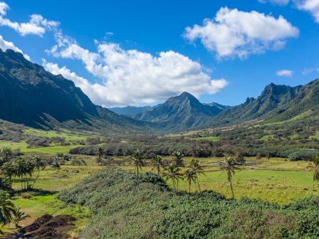 Lush valley with green fields, scattered palm trees, and a backdrop of towering mountains under a bright blue sky with fluffy clouds. (ends with a period)