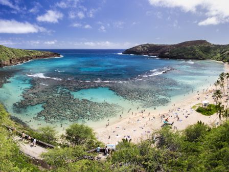 A tropical bay with turquoise water, sandy beach, and lush green cliffs; many sunbathers, palm trees, and a clear blue sky.